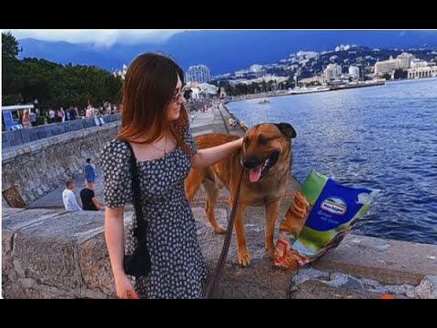 ▶️ ПРИМОРСКИЙ ПАРК И НАБЕРЕЖНАЯ. РЕКА И МОРЕ НУ И РЫЖИК ЯЛТА СЕГОДНЯ КРЫМ ИЮЛЬ / Жизнь в Ялте
