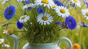 Красивое пожелание доброго дня