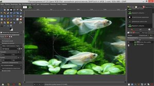 2. Как сделать выделение частично прозрачным в GIMP (эффект стекла или линзы)