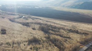 курагино сегодня