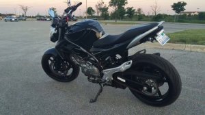 Suzuki Gladius 650