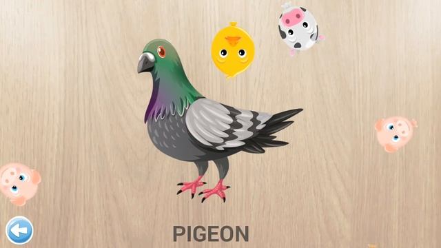 Fun Animal Puzzles for Kids #10. Solve, play and learn. смотреть онлайн