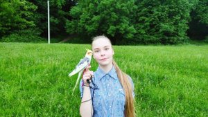 Попугай корелла гуляет на улице!Корелла Гучи в шлейке!Прогулянка з папугою на дворі