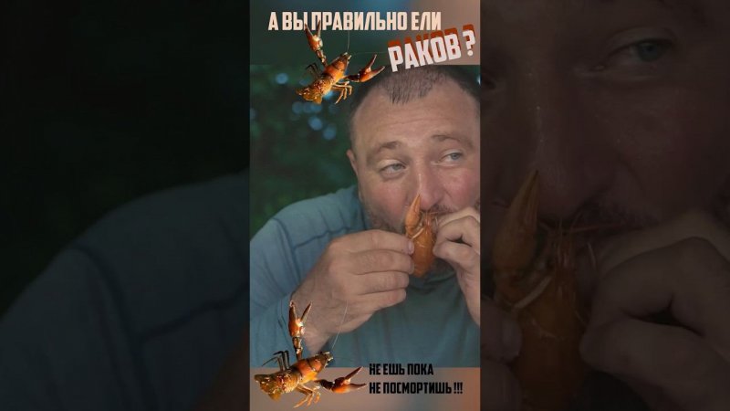 Вы уху ели?! А раков умеете есть?!