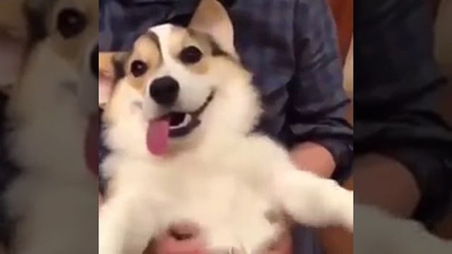 Балдеем ?????????. смотреть онлайн