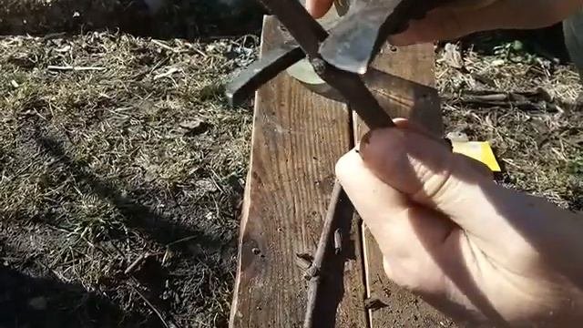Укоренение черенков винограда в земле часть 1.