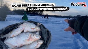 Как много поймать рыбы и чтоб тебя не оббурили.