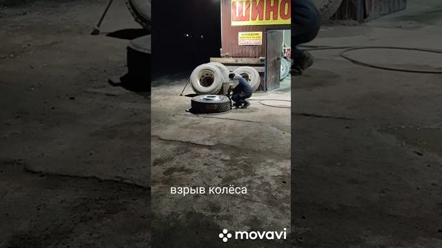 шинка Питер