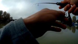 Рыбалка в Краснодаре. КИРПИЧКА РАЗДАЁТ!!!