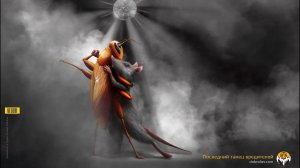 Уничтожение насекомых и грызунов. Добролов