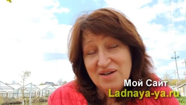 Как полюбить себя, даже если всем в себе недовольна – спасаем самооценку смотреть онлайн