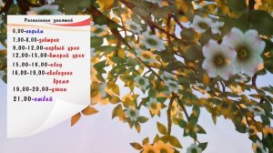 #0 Школа Благородных Девиц | Челлендж в Симс 4