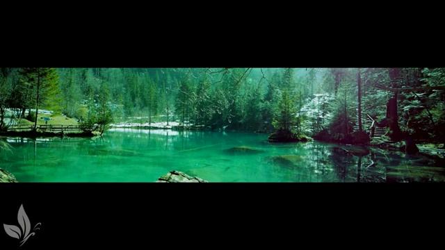 Расслабляющая музыка, чтобы успокоить ум, перестать думать ? Музыка для сна, души и тела смотреть онлайн