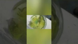 ЧИСТКА СВЕЧЕЙ ЛИМОННОЙ КИСЛОТОЙ! Я в шоке от результата!