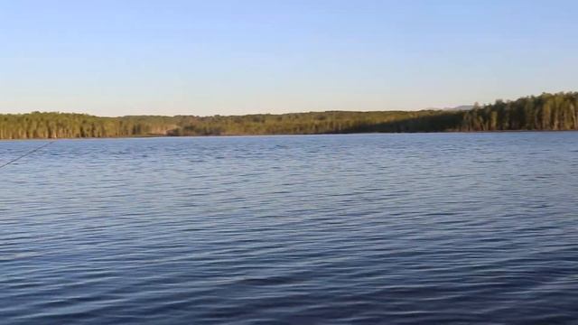 С папой на рыбалке , открытие поплавочной ловли 2021 смотреть онлайн