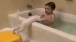 Кот купает ребенка.