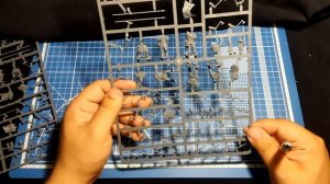 Анбоксинг Victrix Vikings