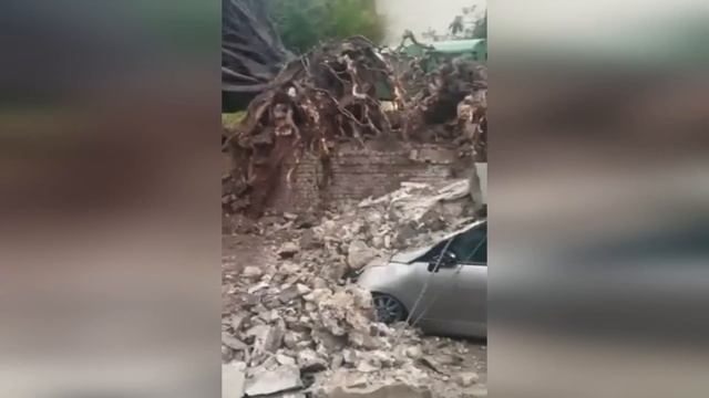 France, wind 200 km/h. Storm Ciaran blows away roofs and uproots trees смотреть онлайн