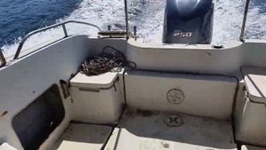 Yamaha F300FETX 2013г. на катере Fr26