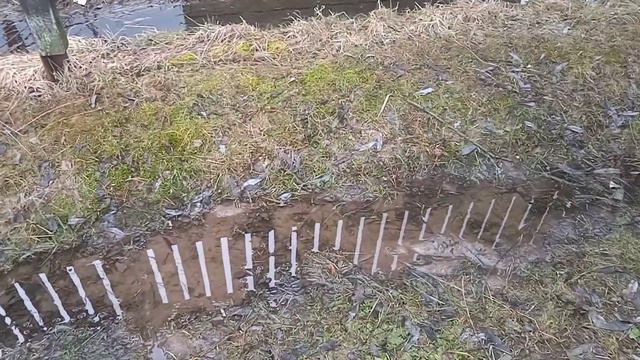 А у нас вода еще не сошла , содержание птицы в теплице , даю витаминки для улучшение яйценоскости. смотреть онлайн