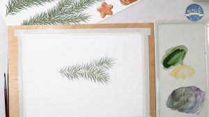 Как несложно и реалистично нарисовать ветку ели.