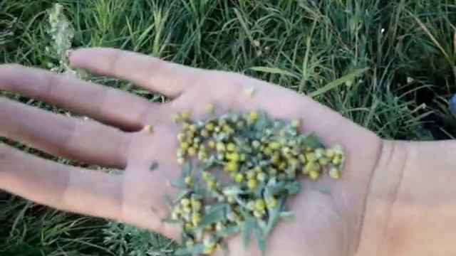 ПОБЕДИТЬ АППЕТИТ 1 смотреть онлайн