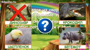 ЗАГАДКИ ПРО ЖИВОТНЫХ - Часть 3 | Загадки для детей