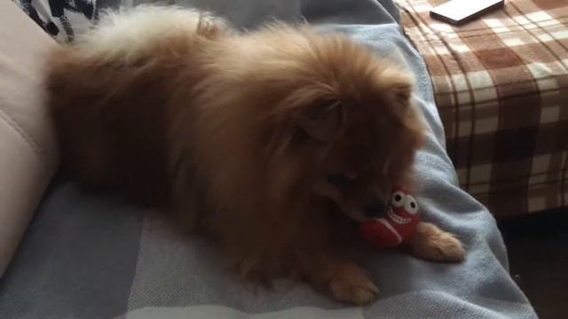 Моё, не отдам! смотреть онлайн