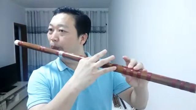 Bass G key dizi flute practice Chinese famous song 《Beautiful grassland is my home》 @Dan Tang смотреть онлайн