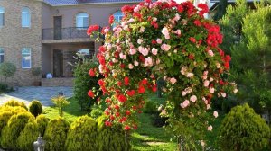 ?Украшаем свой сад Интересные идеи для благоустройства / Garden Decoration Ideas / A - Video