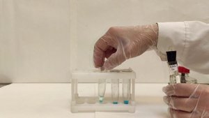 Лабораторная работа №1. Опыт 4. Получение и химические свойства гидроксида меди(II)