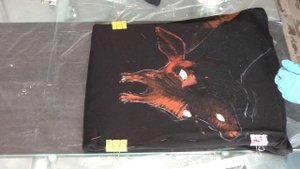 Роспись одежды. Как рисовать хлоркой?