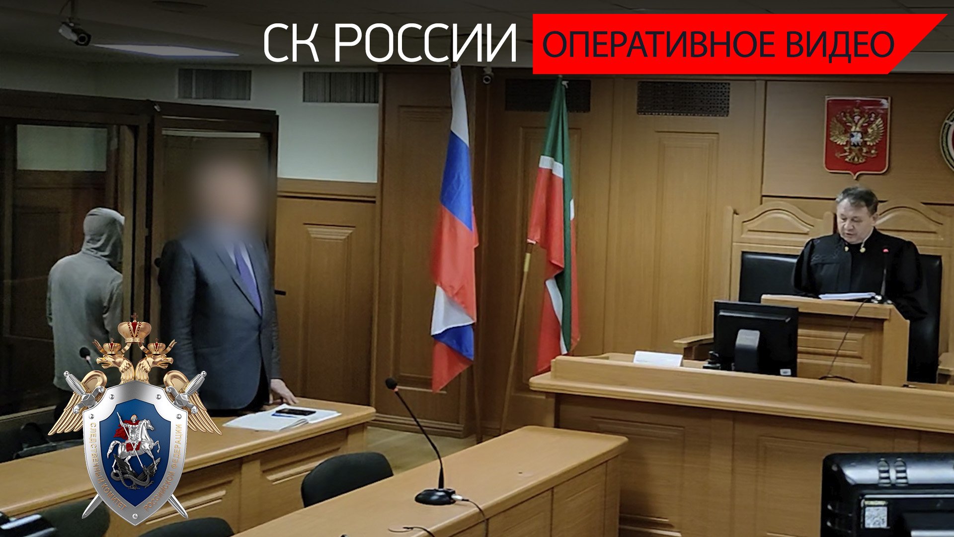 Вынесен приговор жителю Казани, признанному виновным в нападениях на пожилых женщин