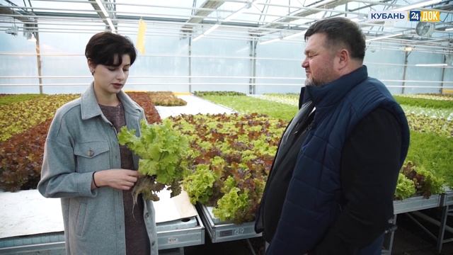 Агронорм: сладкая жизнь и свежая зелень смотреть онлайн