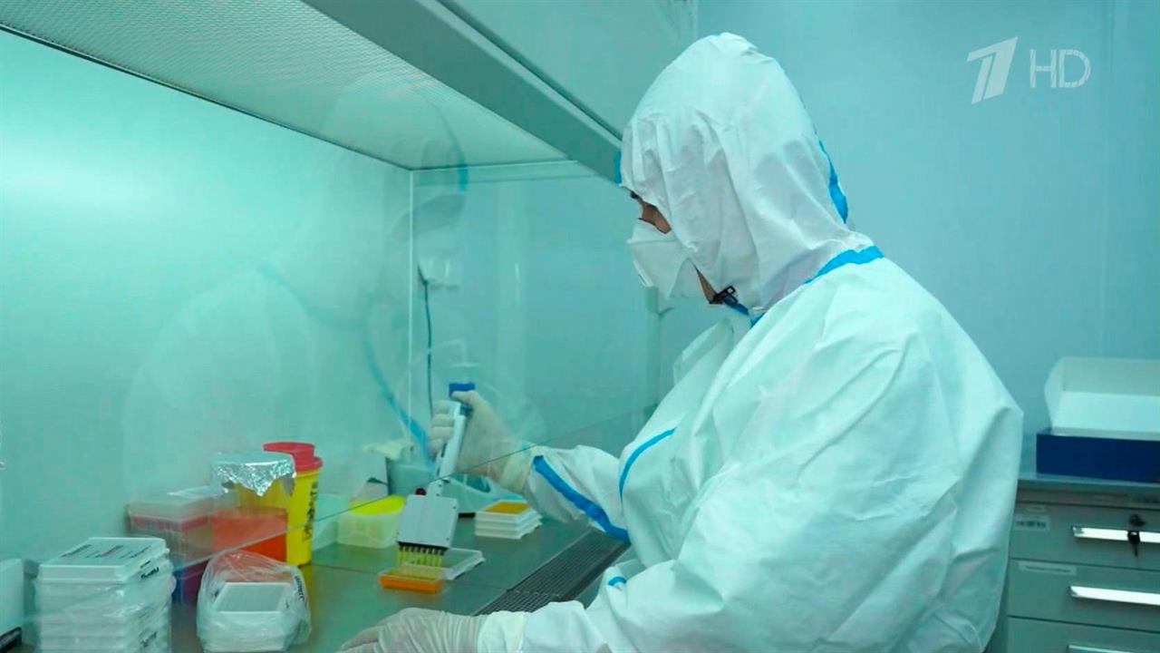 В Роспотребнадзоре предупредили об опасности нового штамма коронавируса "Пирола"