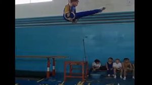 Спортивная гимнастика. Кольца. Gymnastics. Rings
