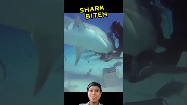 Shark Biten  #shorts #shortsvideo #viral #viralshorts