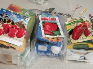 Посадка перца СЕМЕНАМИ На рассаду