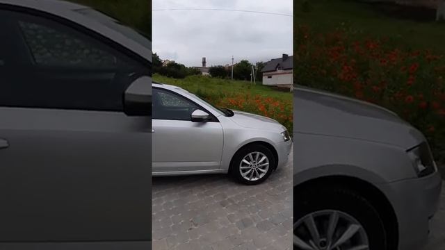 Octavia A7 смотреть онлайн