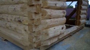 косая лапа.mp4