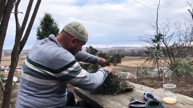 #кленовыйсироп #какприготовитькленовыйсироп День релакса под кленовый сироп. смотреть онлайн