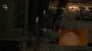 Талая вода для полива комнатных растений