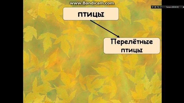 птицы осенью