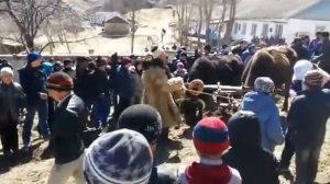 день первой борозды в Цугни