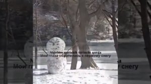 киш сонатаси