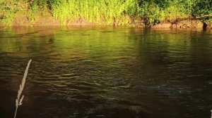 Самая чистая река Калужской области.