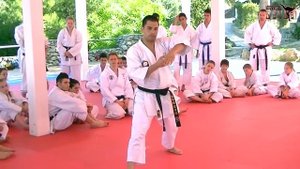 КАТА УНСУ. Обучающие видео. Лука Вальдеси. Часть 2.