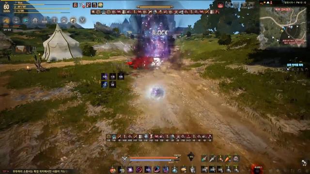 Black Desert Dark knight vs tamer PvP