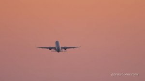 Эйрбас А320 авиакомпании Аэрофлот взлетает из аэропорта Сочи в сумерках на закате.