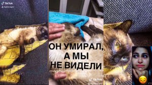 Он очень хотел жить мы сделали все что могли, но было поздно